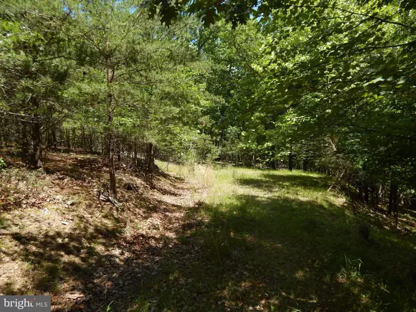 Berkeley Springs, WV 25411,LOT 10 FARSIDE LANE