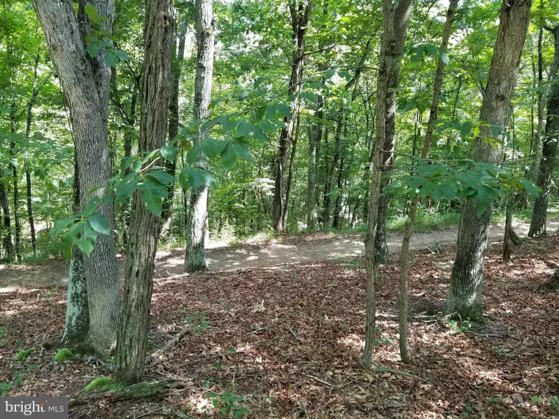 LOWLINE ROAD, Great Cacapon, WV 25422