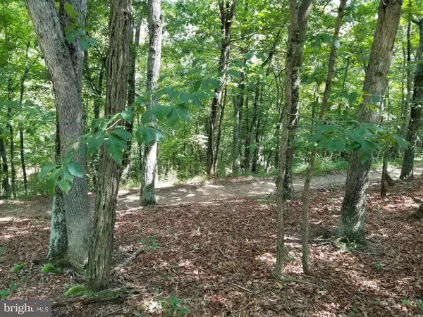 Great Cacapon, WV 25422,LOWLINE ROAD