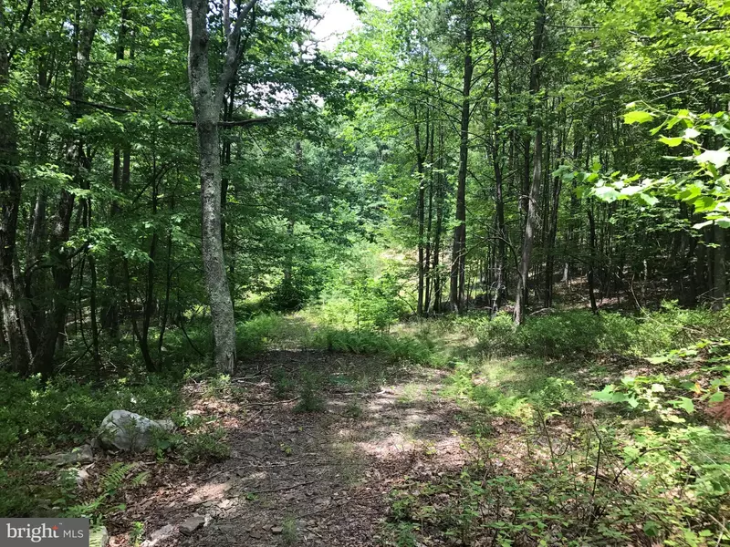 SOUTH BRANCH MOUNTAIN ROAD, Moorefield, WV 26836