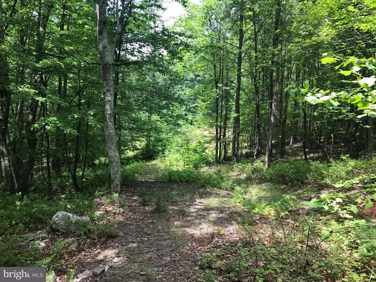 Moorefield, WV 26836,SOUTH BRANCH MOUNTAIN ROAD