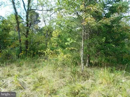 Summit Point, WV 25446,LOT 3 SHIRLEY ROAD