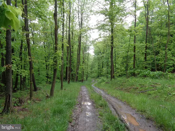 Oakland, MD 21550,3599 GEORGE WASHINGTON HWY