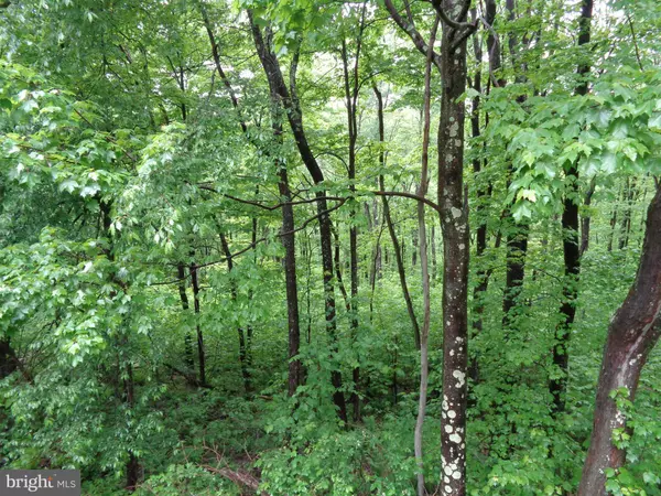 Oakland, MD 21550,3599 GEORGE WASHINGTON HWY