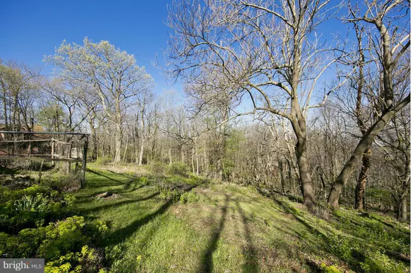 Front Royal, VA 22630,115 MOUNTAIN TOP RD