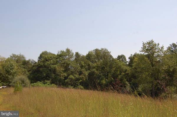 Rixeyville, VA 22737,LOT 3 SILVER STONE LN