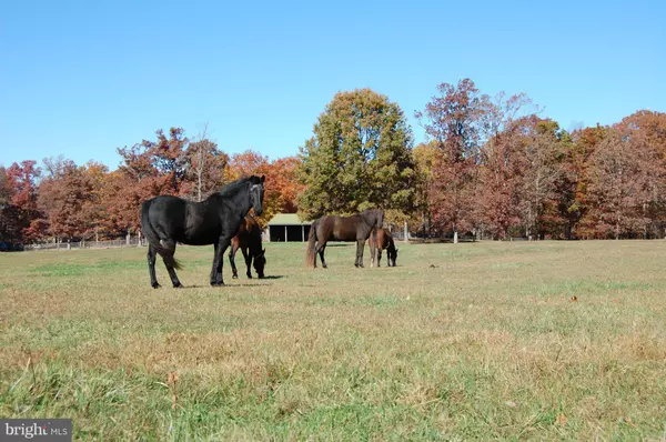 Catlett, VA 20119,10717 BRENT TOWN RD