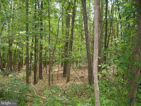 Warfordsburg, PA 17267,BLACK OAK ROAD, LOT 2