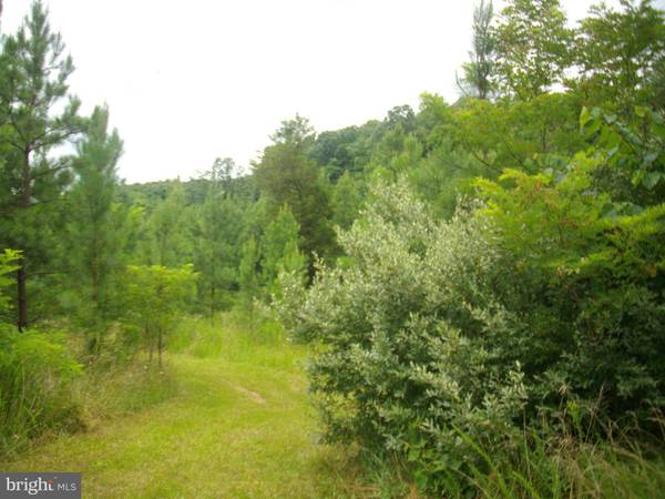 BLACK OAK ROAD, LOT 3, Warfordsburg, PA 17267