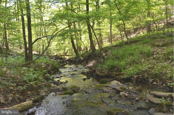 -LOT 38 POPLAR HILL DRIVE, Mcconnellsburg, PA 17233