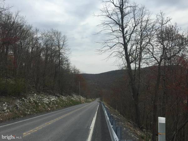 TIMMONS MT RD  ROUTE 641, Roxbury, PA 17251