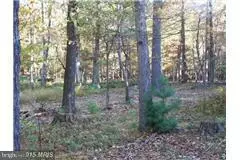 Moorefield, WV 26836,LOT 5 PINEWOOD ESTATES