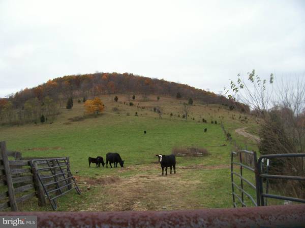 0 OLD FIELDS RD, Old Fields, WV 26845