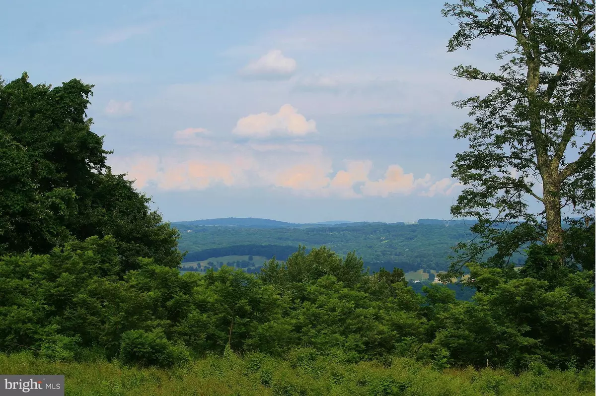 Capon Bridge, WV 26711,18 LONGBEARD LANE