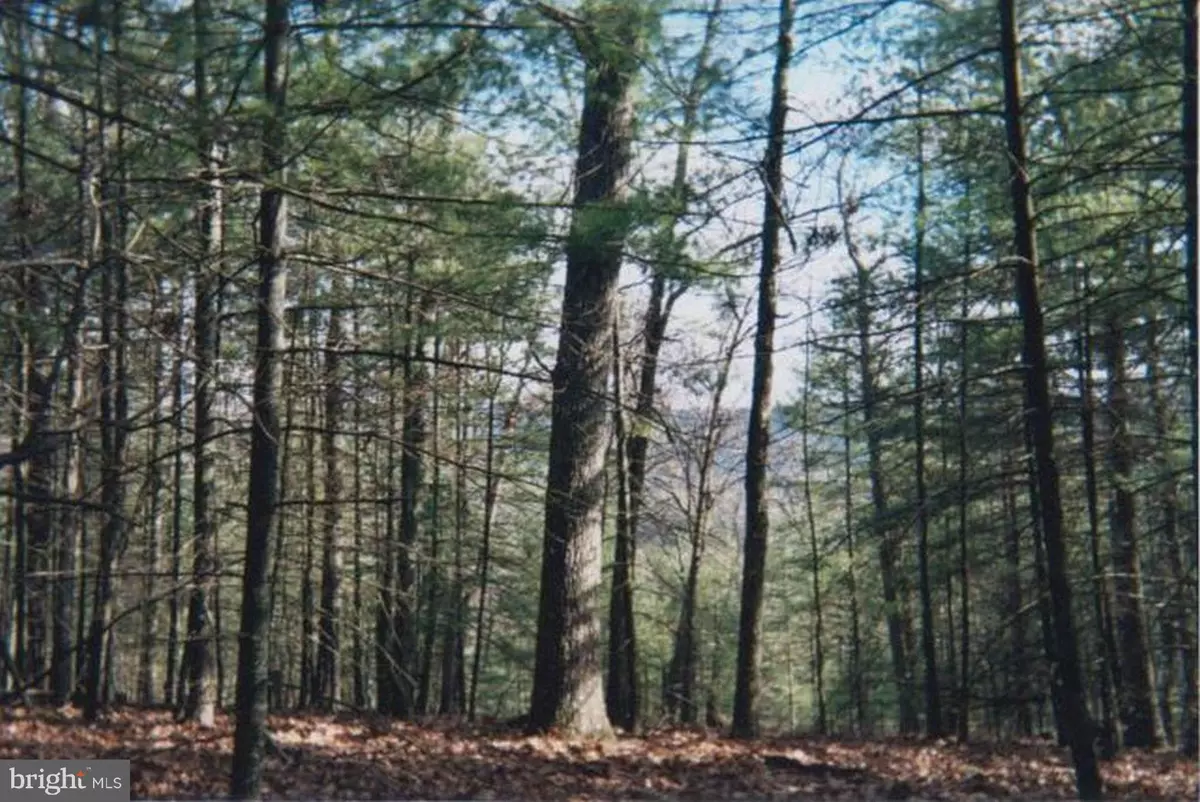 Capon Bridge, WV 26711,BEAR GARDEN