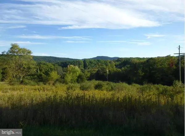 Romney, WV 26757,STONEY MOUNTAIN OVERLOOK