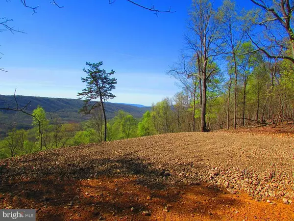 Romney, WV 26757,225 BLUFFS ON THE POTOMAC