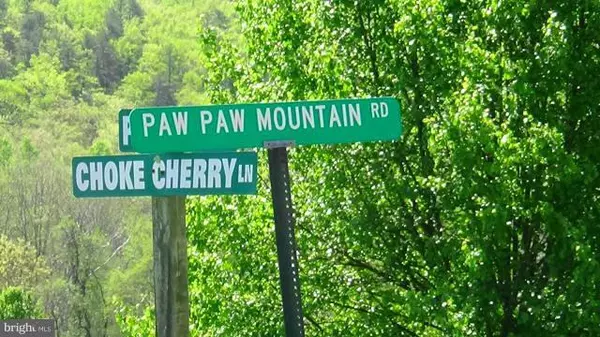 Capon Bridge, WV 26711,CHOKE CHERRY