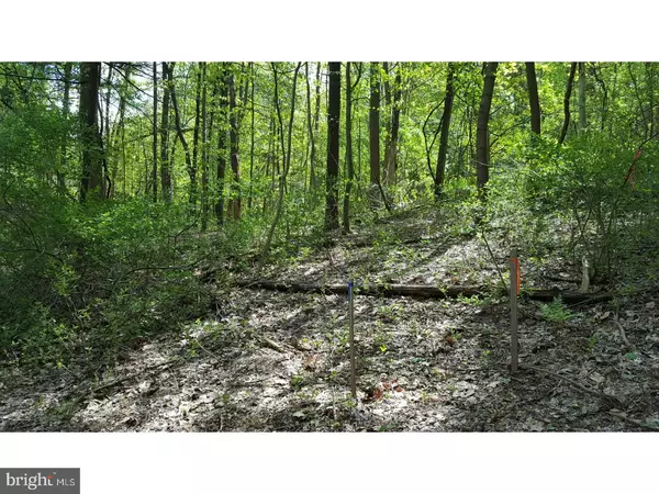 Mohnton, PA 19540,LOT # 1 HIDDEN POND DR