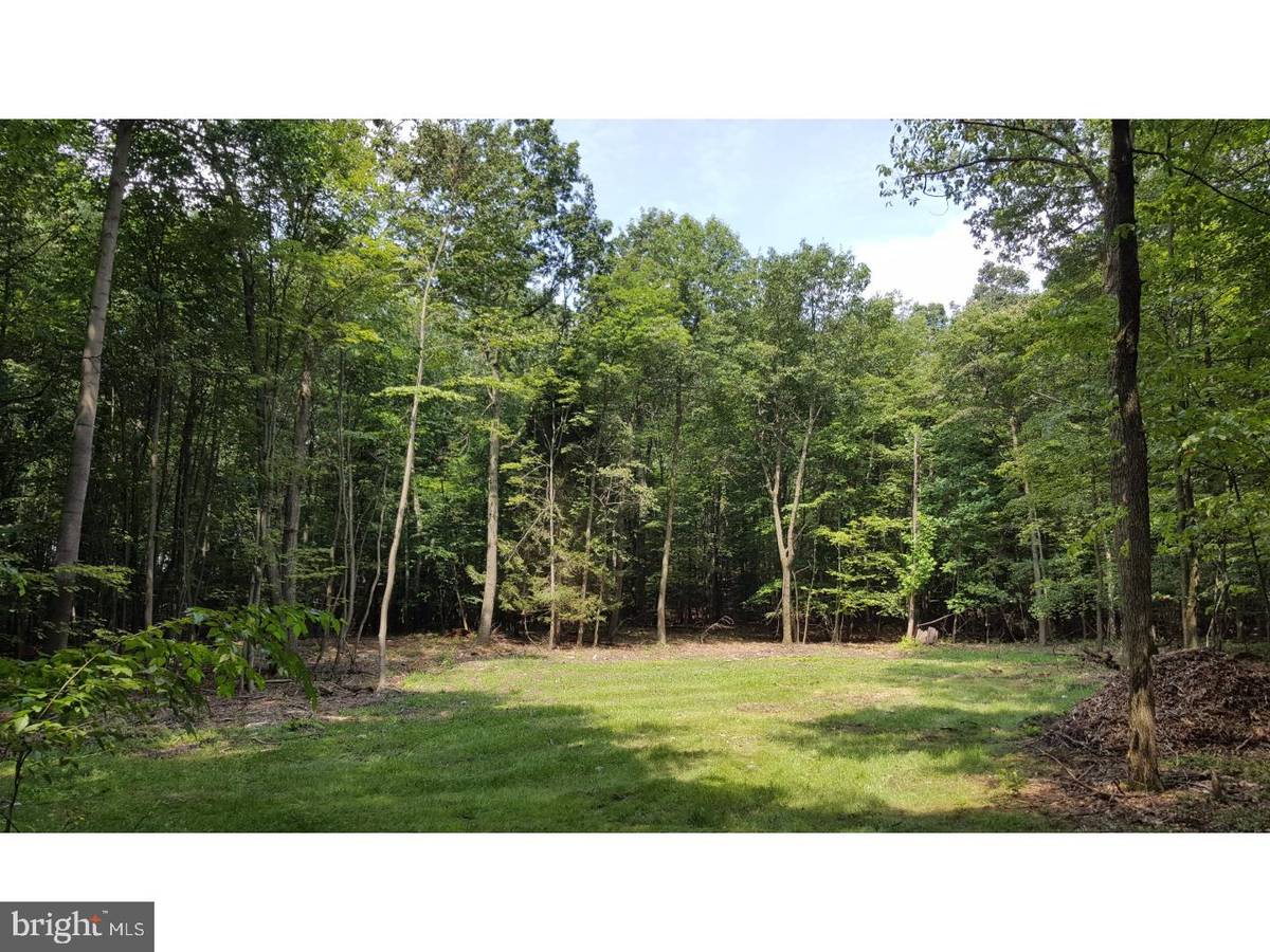 Sinking Spring, PA 19608,LOT 5 GRINGS HILL RD