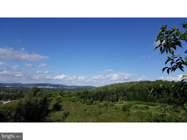 Sinking Spring, PA 19608,LOT 5 GRINGS HILL RD