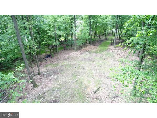 Sinking Spring, PA 19608,LOT 3 GRINGS HILL RD