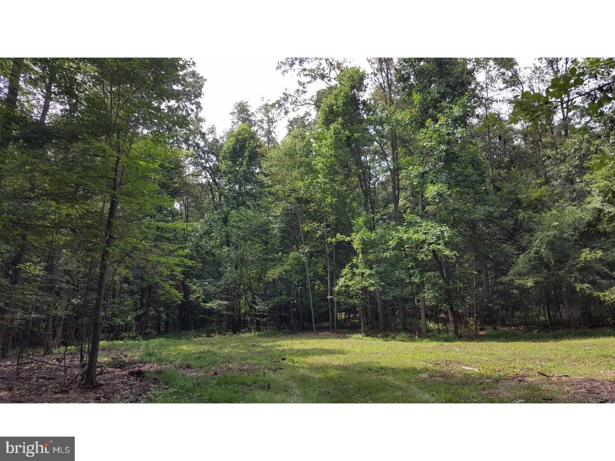 Sinking Spring, PA 19608,LOT 2 GRINGS HILL RD