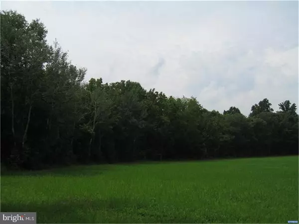 58 ACRE HALLTOWN RD, Marydel, DE 19964