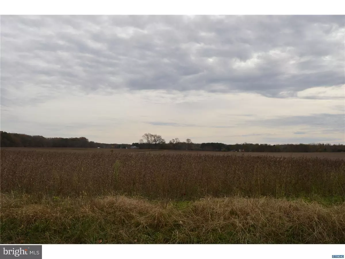 Marydel, DE 19964,44 ACRES HALLTOWN RD