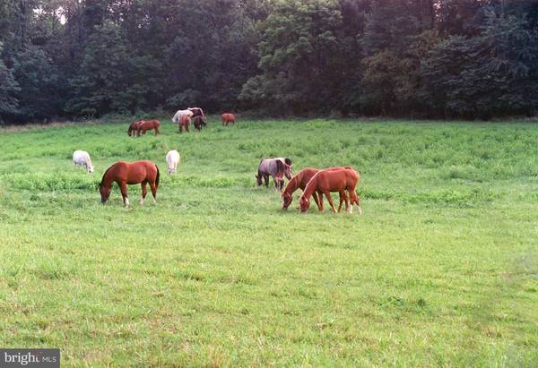 LOGMILL RD, Haymarket, VA 20169