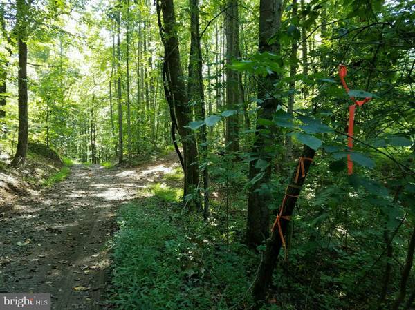 F T VALLEY RD, Madison, VA 22727