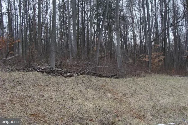 JONES FARM RD, Bentonville, VA 22610