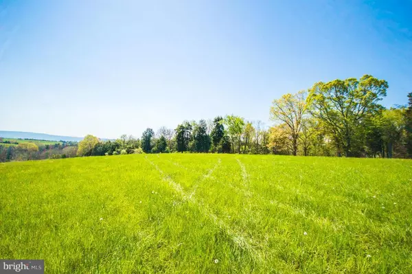 Stephens City, VA 22655,24-B REFUGE CHURCH RD E