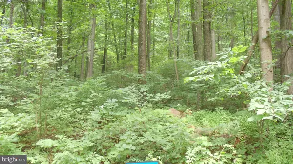 JUDY LN, Front Royal, VA 22630