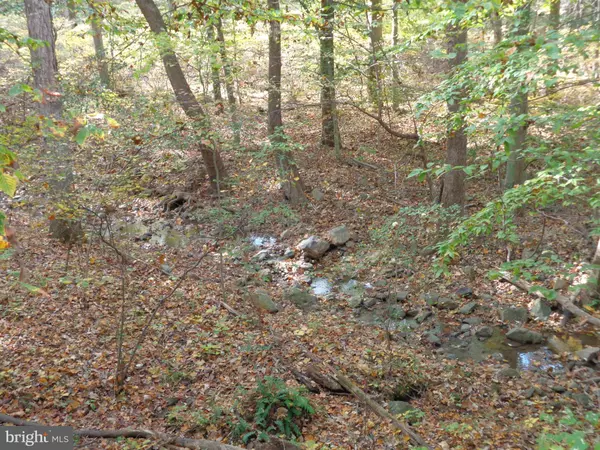 Front Royal, VA 22630,354 SASSY LN