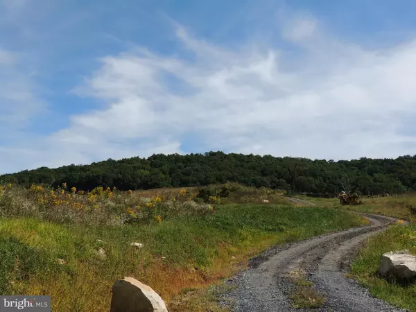 Bentonville, VA 22610,1-LOT W LENA MAE LN