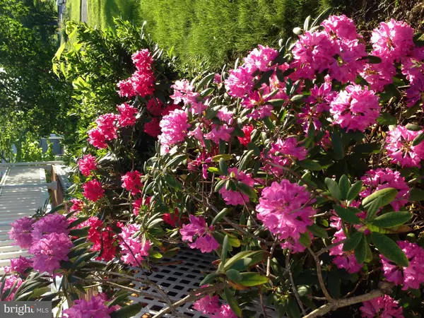 Front Royal, VA 22630,985 STUART DR