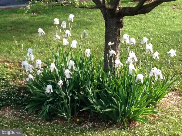 Front Royal, VA 22630,985 STUART DR