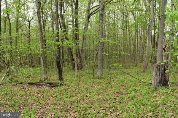 BROWNTOWN RD, Front Royal, VA 22630