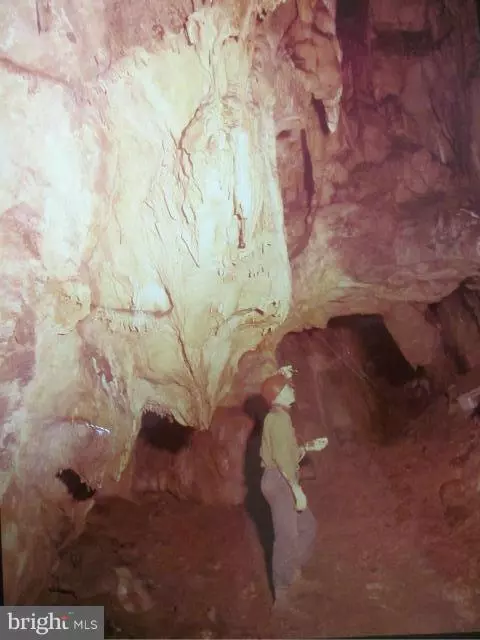 262 TRANQUIL SHORES RD, Front Royal, VA 22630