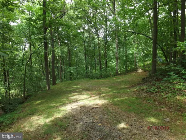 Front Royal, VA 22630,111 BLOODROOT RD