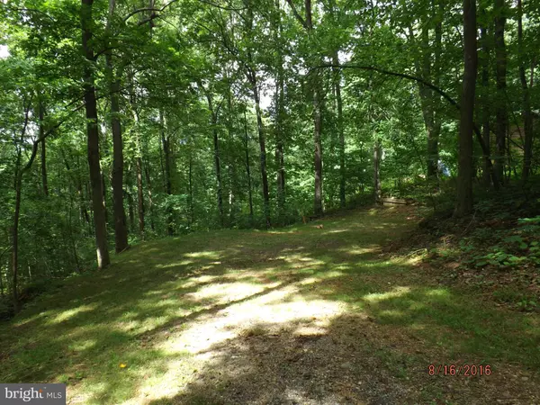 111 BLOODROOT RD, Front Royal, VA 22630