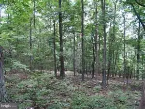 47 SNOWBIRD CT, Front Royal, VA 22630