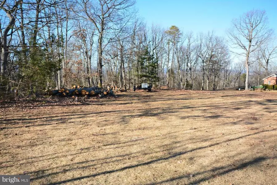 0 LOT 17 LOWER VIEW RD, Strasburg, VA 22657