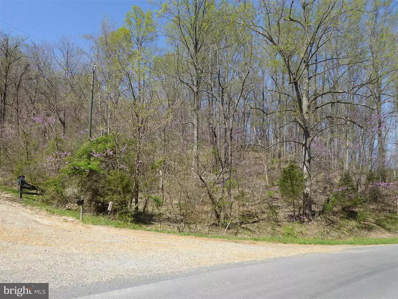 LITTLE LONG RD, Bentonville, VA 22610