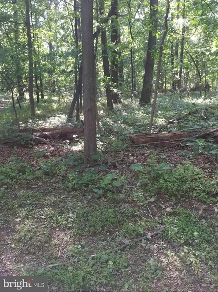 LOT 2 JEFFERSON AVE, Sykesville, MD 21784