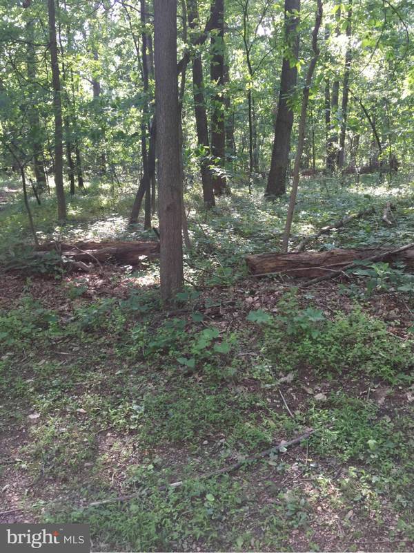 LOT 2 JEFFERSON AVE, Sykesville, MD 21784