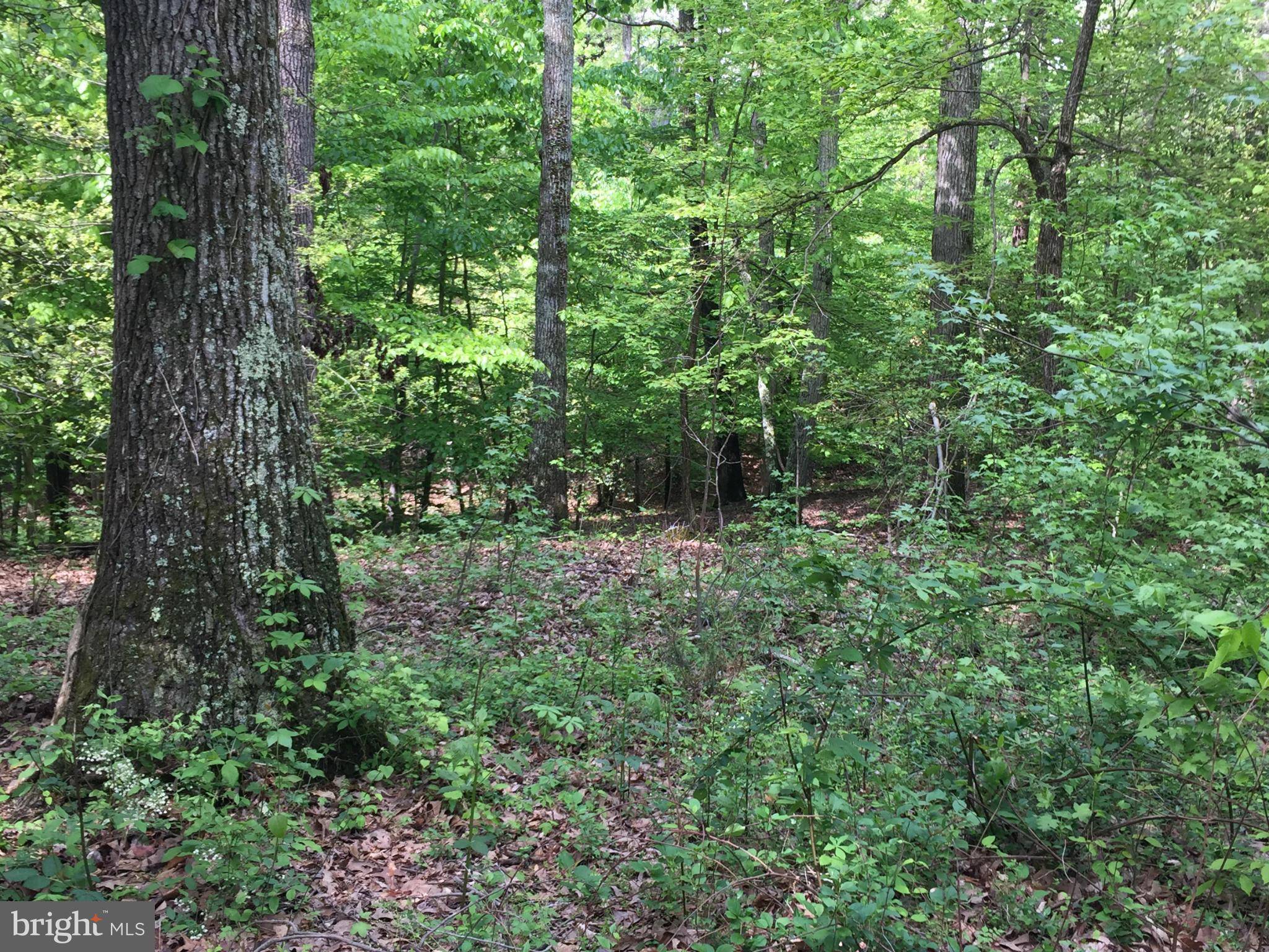 NOT ON FILE, Accokeek, MD 20607