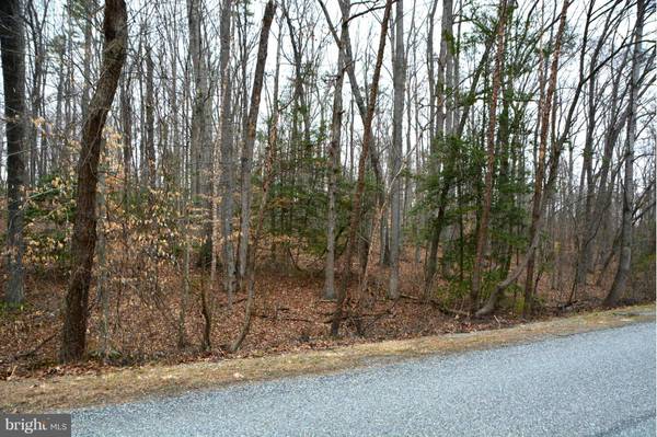 Mineral, VA 23117,LOT 47 LAKEWOOD CIRCLE