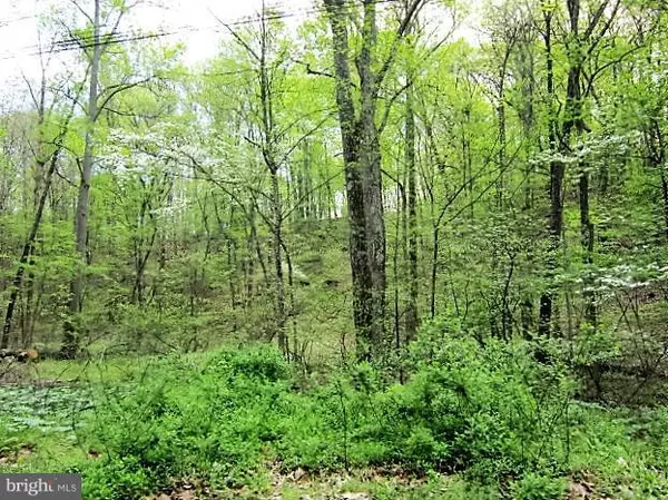 12-LOT OFF RT 9/1, Hedgesville, WV 25427